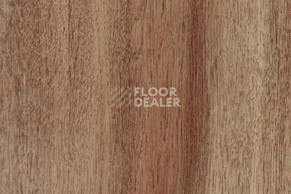 Плитка ПВХ Forbo Allura Decibel 8WHA04-3WHA04 rustic harvest oak фото 1 | FLOORDEALER